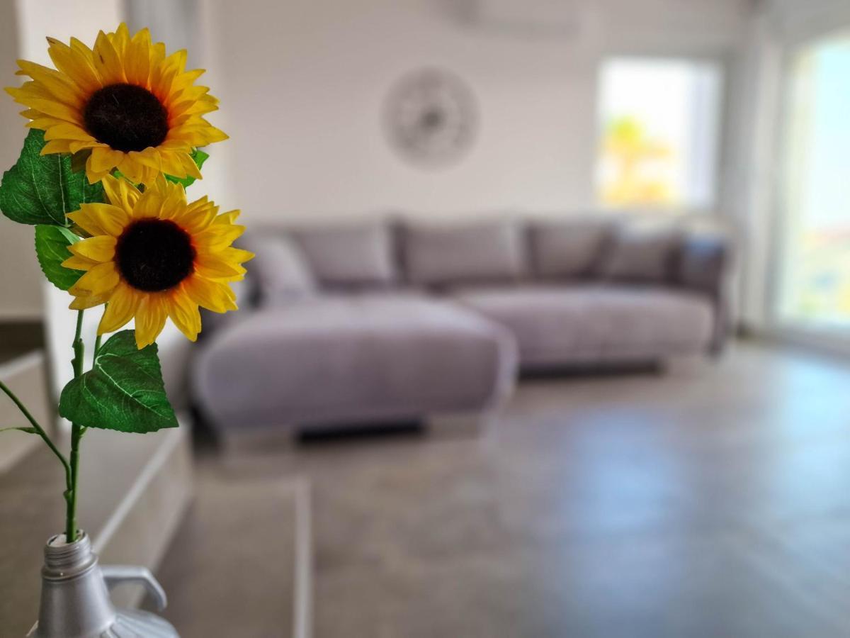 Villa Poseidon Novalja Dış mekan fotoğraf